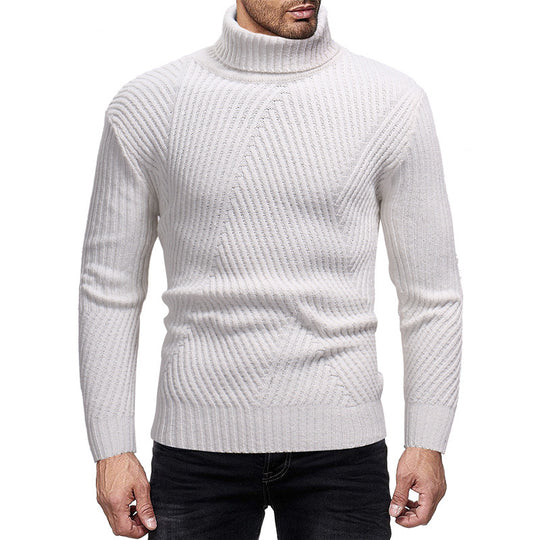 Herren Rollkragenpullover EB