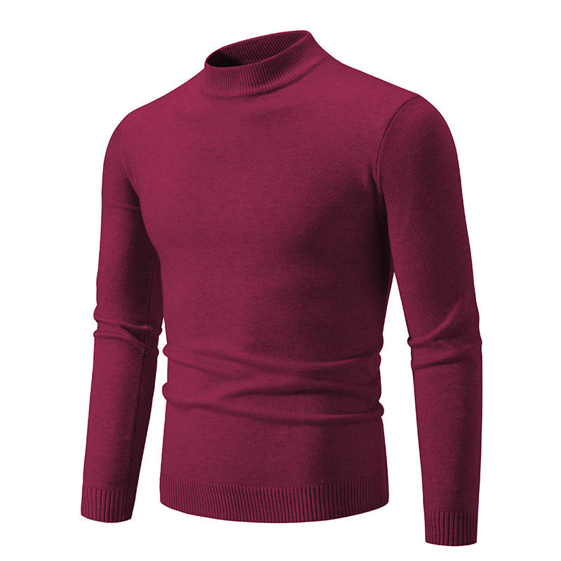 Herren modischer Rollkragenpullover aus feiner Strickqualität EB