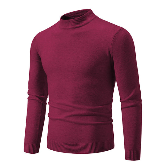 Herren modischer Rollkragenpullover aus feiner Strickqualität EB
