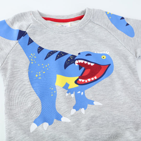 Jungen Sweatshirt mit lebhaftem Dinosaurier-Motiv EB