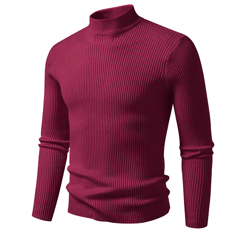 Herren Rollkragenpullover aus strukturiertem Strickmaterial EB