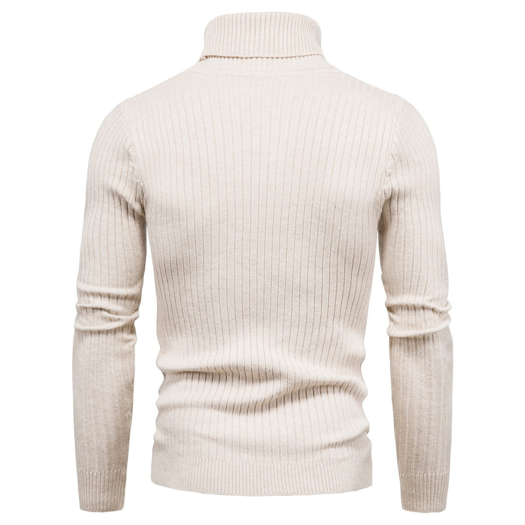 Herren komfortabler Rollkragenpullover EB
