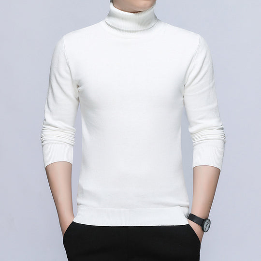 Herren Rollkragenpullover aus hochwertiger, atmungsaktiver Baumwolle EB