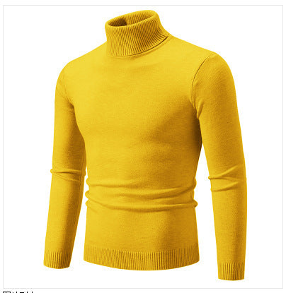 Herren Rollkragenpullover aus weichem Feinstrick EB