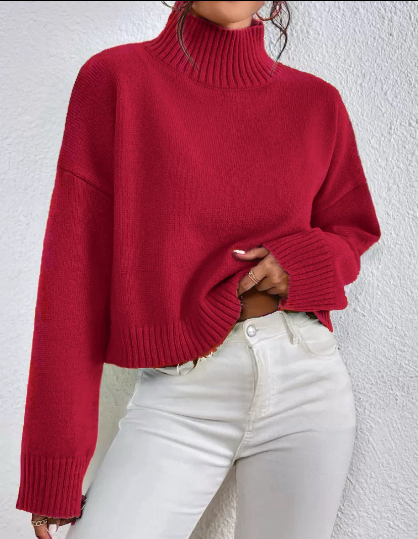 Damen modischer Kragenpullover aus weicher Wolle EB