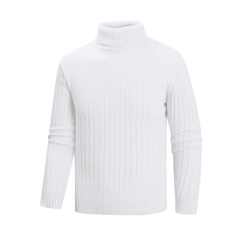 Herren eleganter Pullover mit hohem Kragen und feiner Rippenstruktur EB