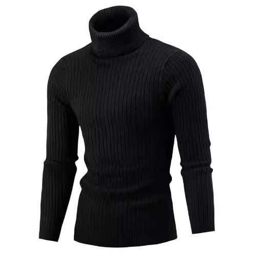 Herren Pullover mit hohem Kragen und strukturiertem Zopfmuster EB