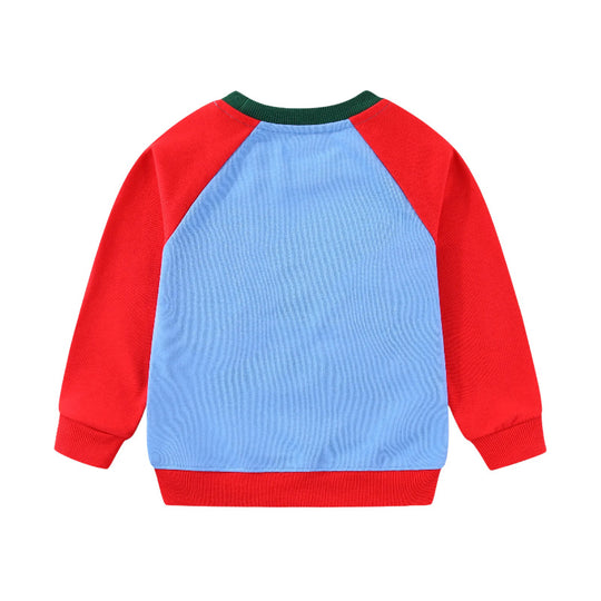 Jungen Sweatshirt mit lustigem Dinosaurierdesign EB