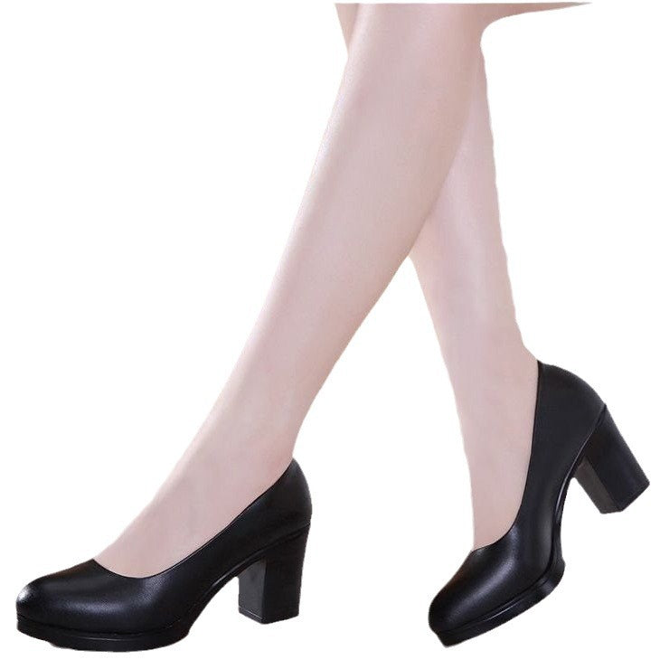 Damen Elegant Design Pumps EB