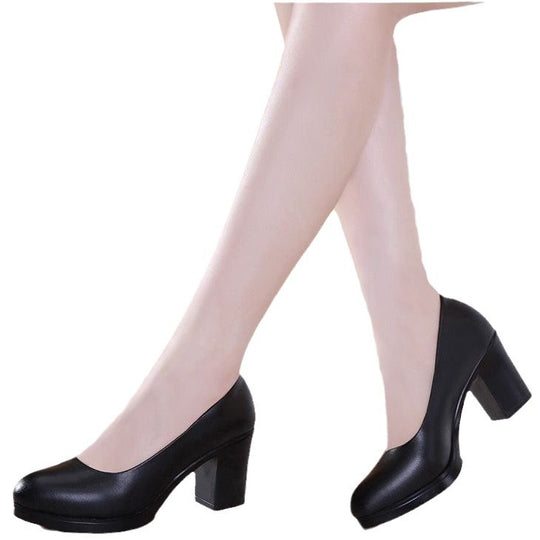 Damen Elegant Design Pumps EB