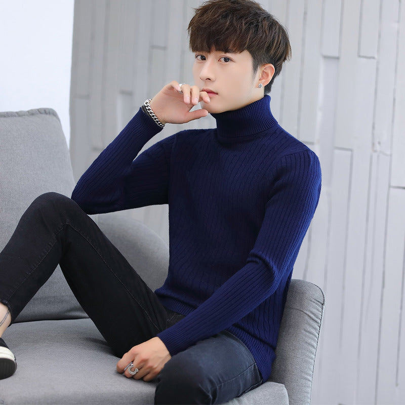 Herren Eleganter Rollkragenpullover mit Rippmuster EB