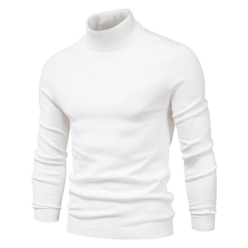 Herren modischer Rollkragenpullover aus feiner Merinowolle EB