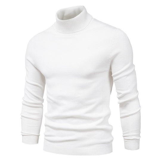 Herren modischer Rollkragenpullover aus feiner Merinowolle EB