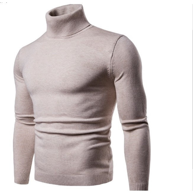 Herren Rollkragenpullover aus feiner Merinowolle EB