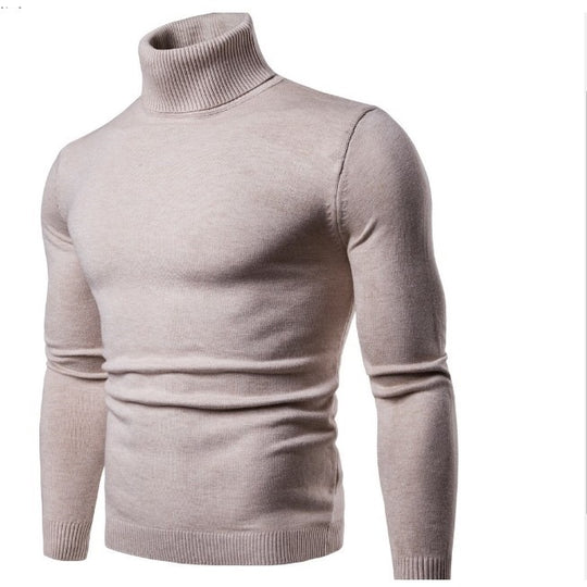 Herren Rollkragenpullover aus feiner Merinowolle EB