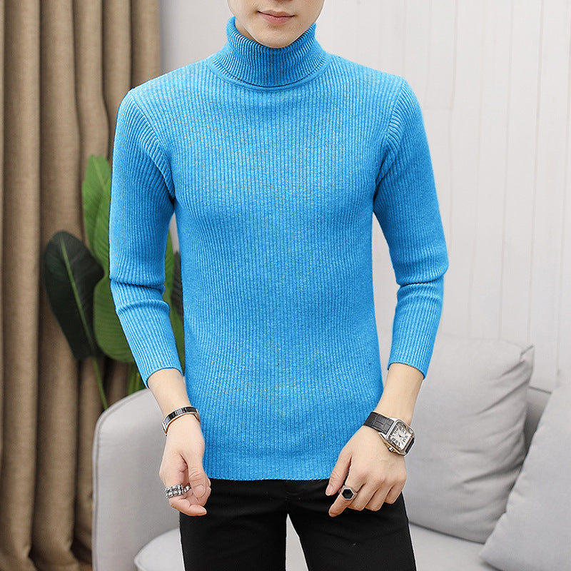 Herren hochwertiger Rollkragenpullover aus feinem Rippstrick EB