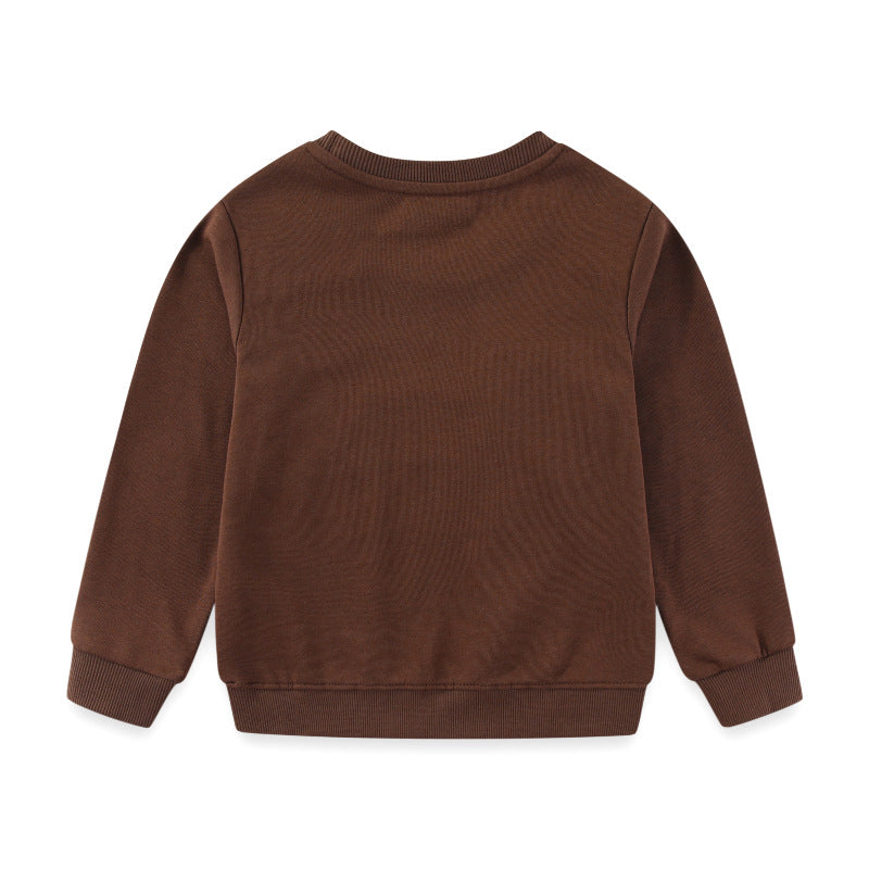 Jungen Sweatshirt mit lebhaftem Dinosaurier-Stickdesign EB