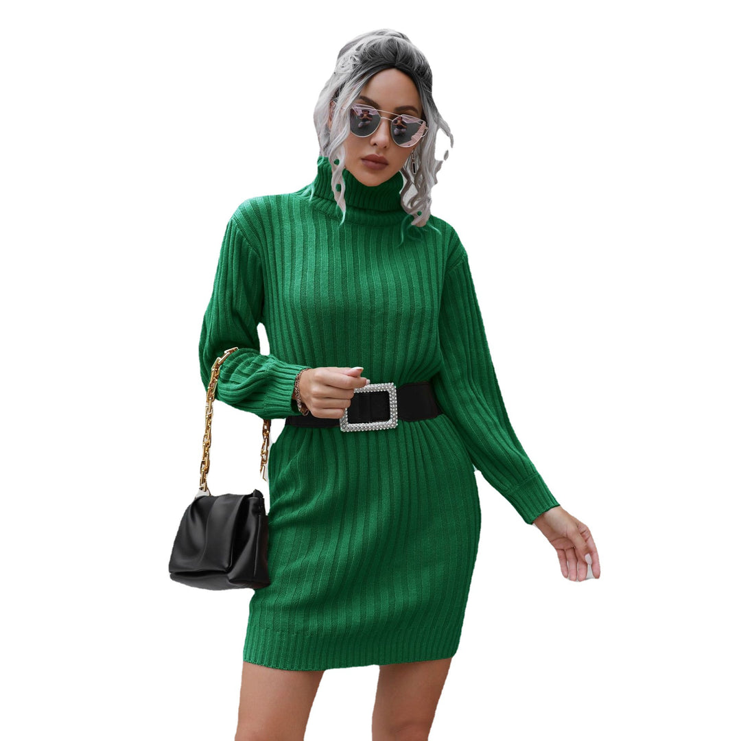 Damen Strickkleid mit hohem Kragen und elastischem Gürtel EB