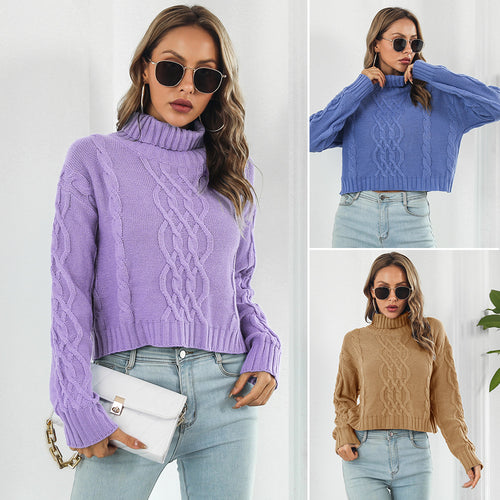 Damen Grobstrickpullover mit hohem Kragen und Zopfmuster EB