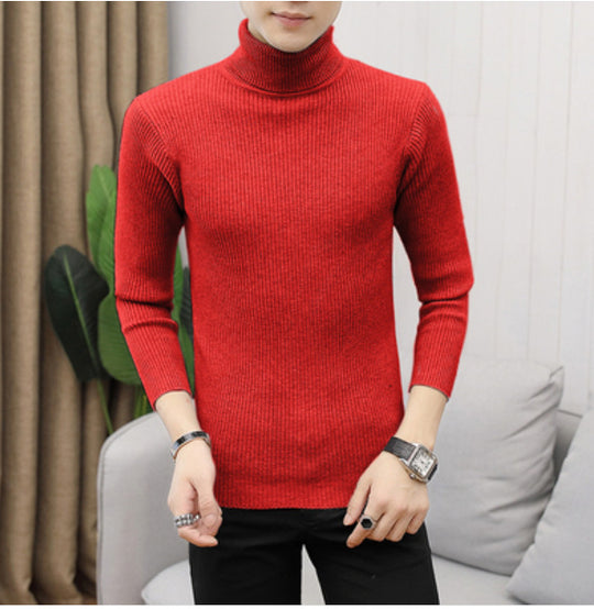 Herren hochwertiger Rollkragenpullover aus feinem Rippstrick EB