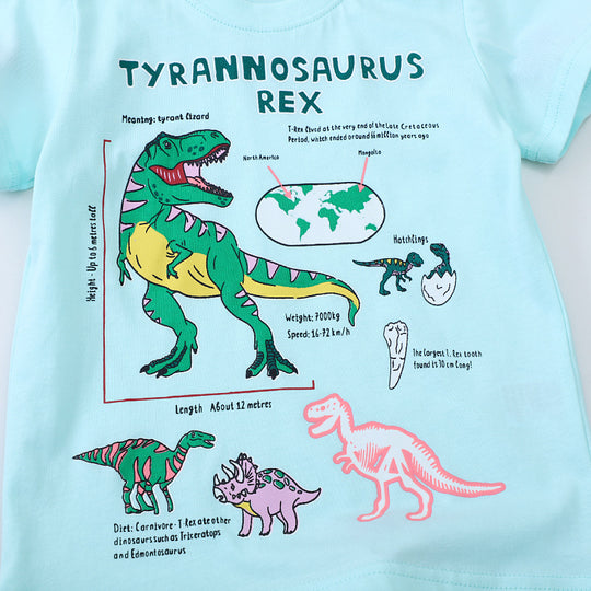 Jungen T-Shirt mit aufregendem Tyrannosaurus Rex Design EB