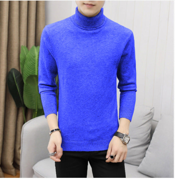 Herren Rollkragenpullover aus hochwertiger Baumwolle EB