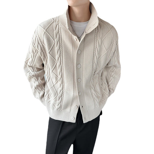 Herren Grobstrickpullover mit modernem Stehkragen und Knopfleiste EB