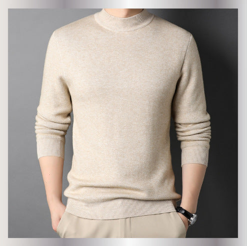 Herren Pullover mit hohem Kragen EB