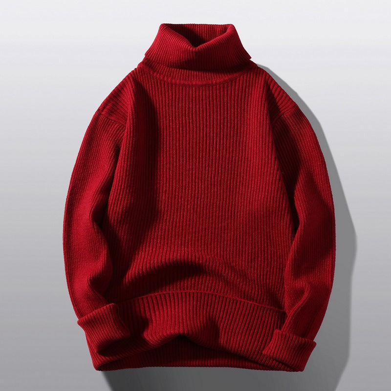 Herren bequemer Rollkragenpullover aus strukturiertem Strick EB