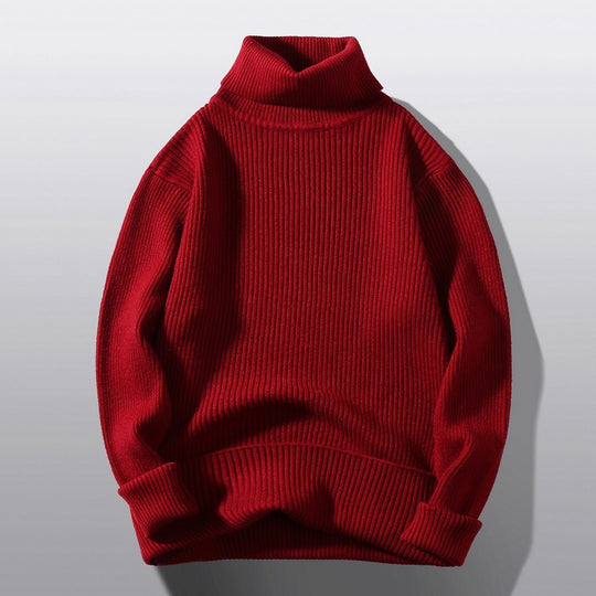 Herren bequemer Rollkragenpullover aus strukturiertem Strick EB