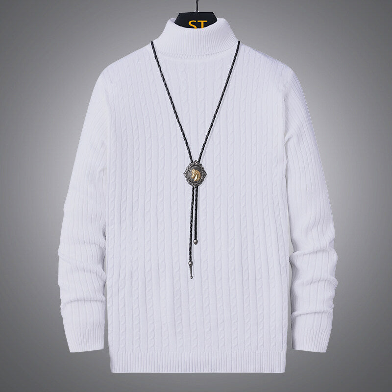 Herren Rollkragenpullover mit strukturiertem Zopfmuster EB