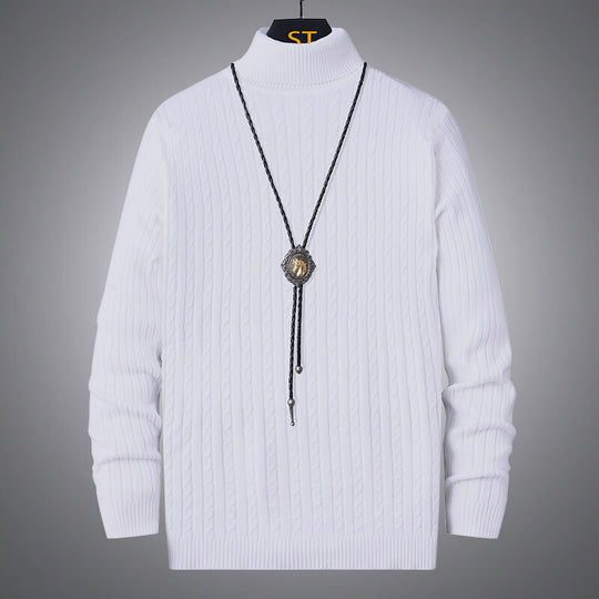 Herren Rollkragenpullover mit strukturiertem Zopfmuster EB