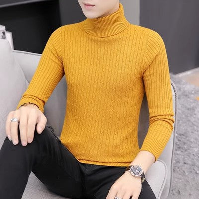 Damen Strickpullover mit hohem Kragen und Rippenmuster EB