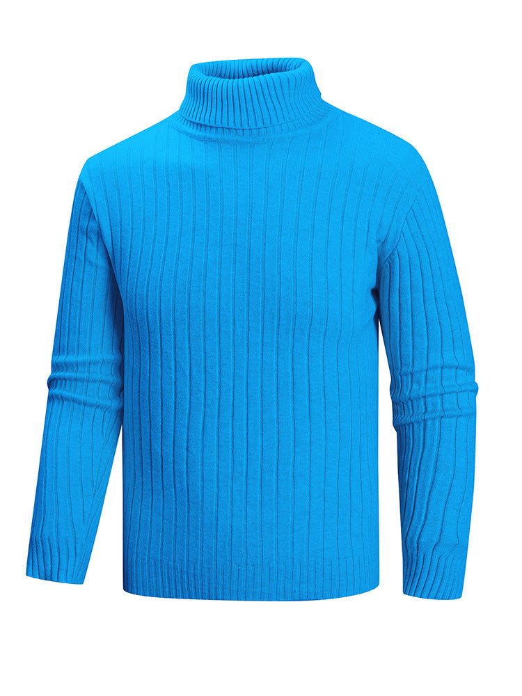Herren Rollkragenpullover aus hochwertigem Feinstrick EB