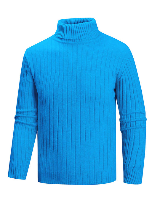 Herren Rollkragenpullover aus hochwertigem Feinstrick EB