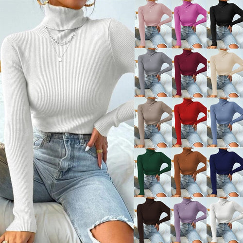 Damen Eleganter Rollkragenpullover mit feiner Rippstruktur EB