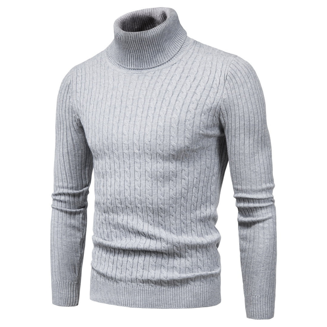 Herren komfortabler Rollkragenpullover EB