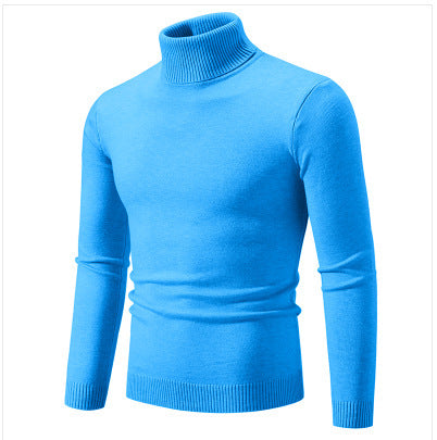 Herren Rollkragenpullover aus weichem Feinstrick EB