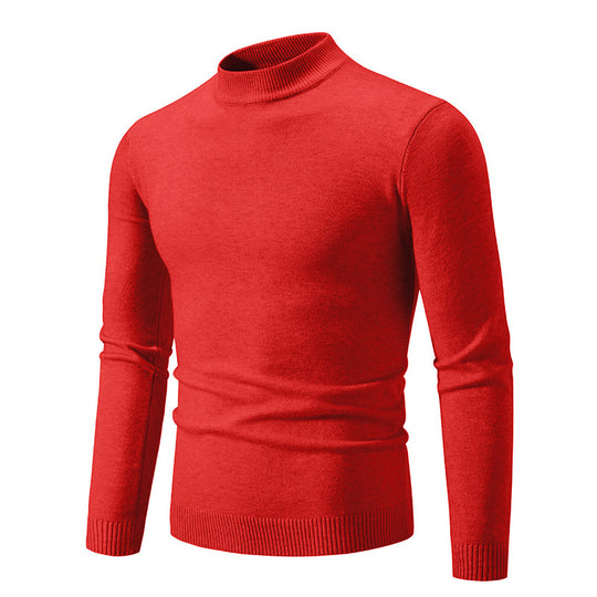 Herren modischer Rollkragenpullover aus feiner Strickqualität EB