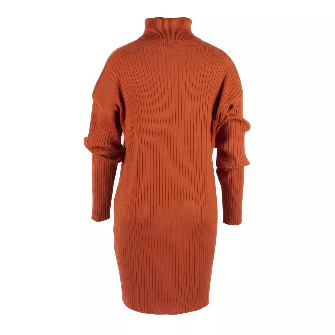 Damen Strickkleid mit hohem Kragen und Rippstruktur EB
