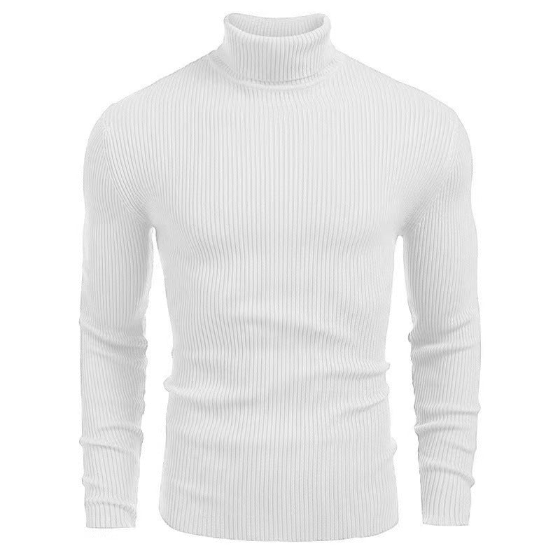 Herren Rollkragenpullover mit feiner Rippenstruktur und hohem Tragekomfort EB