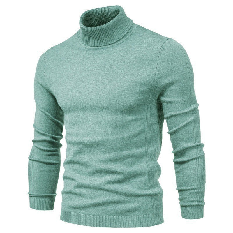 Herren modischer Rollkragenpullover aus feiner Merinowolle EB