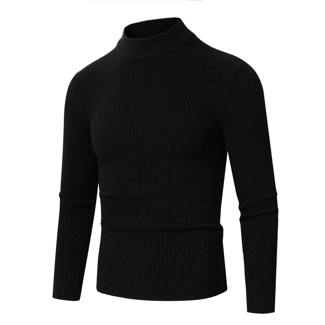 Herren Rollkragenpullover aus feinem Rippstrickmaterial EB