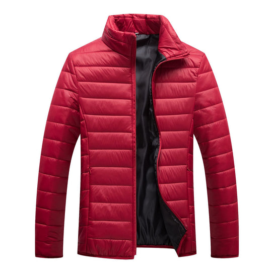 Herren Steppjacke mit hochgeschlossenem Kragen und wärmender Füllung EB