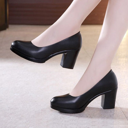 Damen Elegant Design Pumps EB