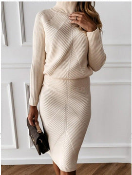 Damen Strickkleid mit hohem Kragen und eleganter Rippstruktur EB