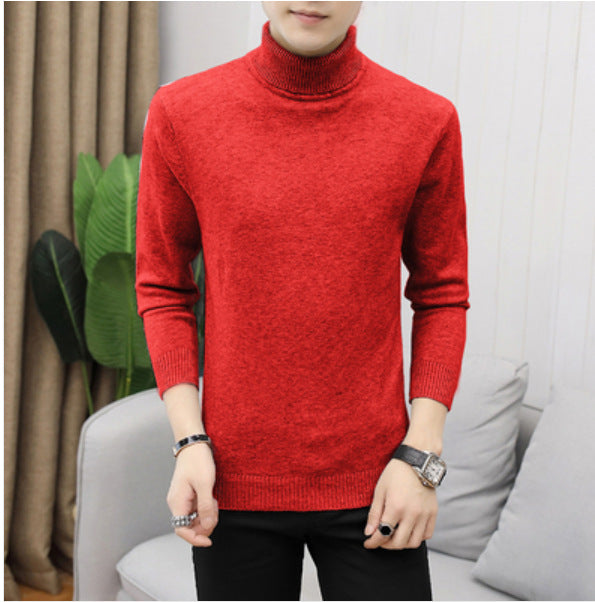 Herren Rollkragenpullover aus hochwertiger Baumwolle EB