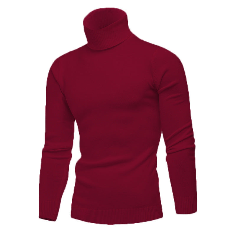 Herren Strickpullover mit hohem Kragen EB