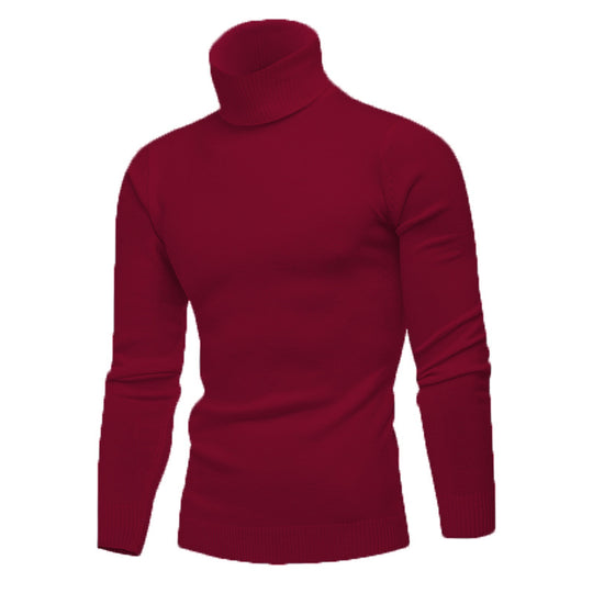 Herren Strickpullover mit hohem Kragen EB