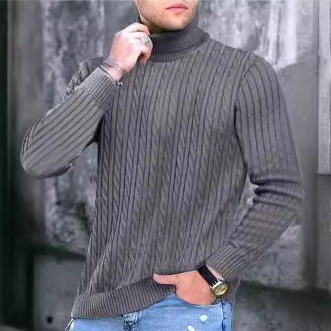 Herren Rollkragenpullover mit strukturiertem Kabelstrickdesign EB